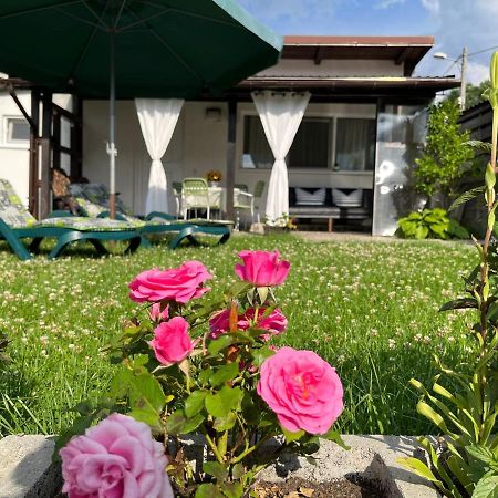 Вилла Charmante Petite Maison Transylvanie Сэчеле Экстерьер фото