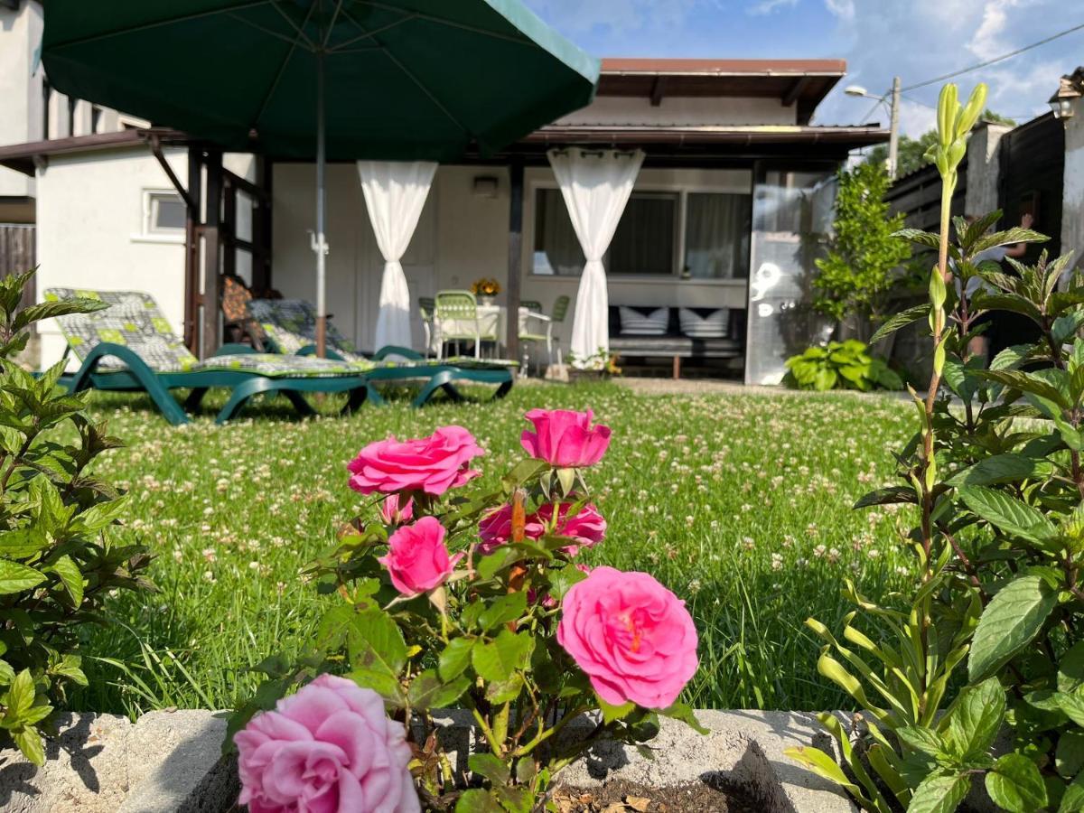 Вилла Charmante Petite Maison Transylvanie Сэчеле Экстерьер фото